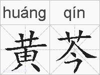 黄芩的拼音