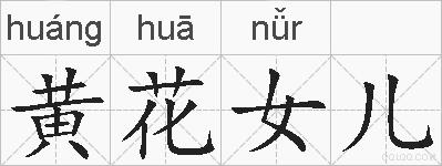 黄花女儿的拼音