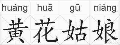 黄花姑娘的拼音