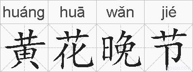 黄花晚节的拼音