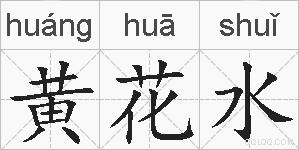 黄花水的拼音
