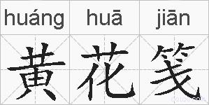 黄花笺的拼音