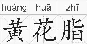 黄花脂的拼音