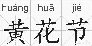 黄花节的拼音