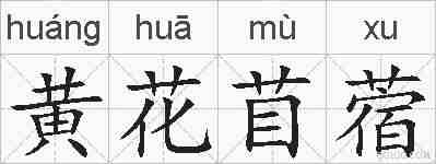 黄花苜蓿的拼音