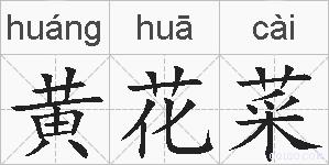 黄花菜的拼音