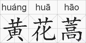 黄花蒿的拼音