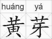 黄芽的拼音