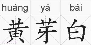 黄芽白的拼音