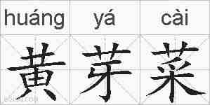 黄芽菜的拼音