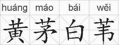 黄茅白苇的拼音