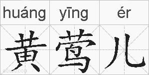 黄莺儿的拼音
