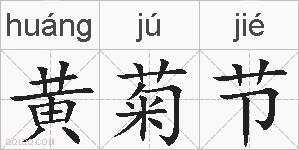 黄菊节的拼音