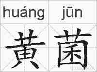 黄菌的拼音