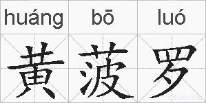 黄菠罗的拼音