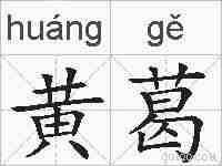 黄葛的拼音