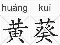 黄葵的拼音