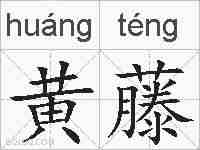 黄藤的拼音