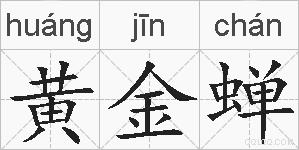 黄金蝉的拼音