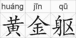 黄金躯的拼音