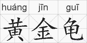 黄金龟的拼音