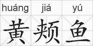黄颊鱼的拼音