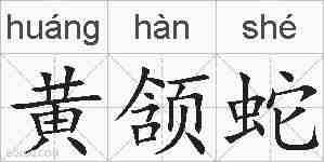 黄颔蛇的拼音