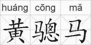 黄骢马的拼音