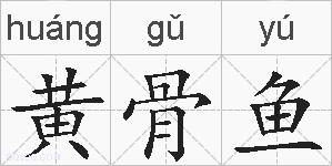 黄骨鱼的拼音
