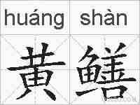 黄鳝的拼音
