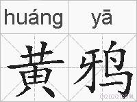 黄鸦的拼音
