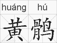 黄鹘的拼音