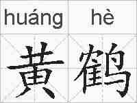 黄鹤的拼音