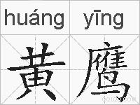 黄鹰的拼音