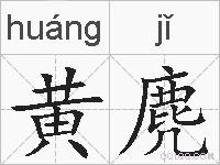 黄麂的拼音
