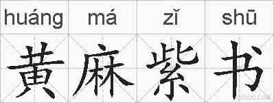 黄麻紫书的拼音