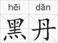 黑丹的拼音