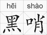 黑哨的拼音