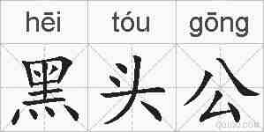黑头公的拼音