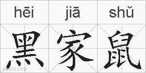 黑家鼠的拼音