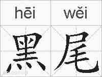 黑尾的拼音