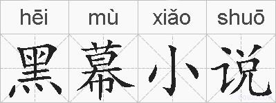 黑幕小说的拼音