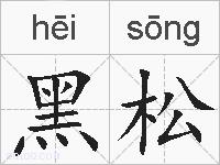 黑松的拼音