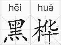 黑桦的拼音