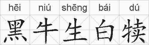 黑牛生白犊的拼音