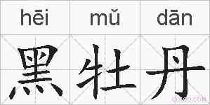黑牡丹的拼音