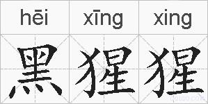 黑猩猩的拼音