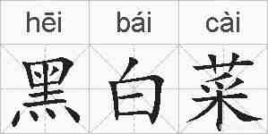 黑白菜的拼音