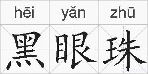 黑眼珠的拼音