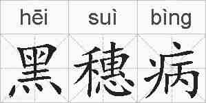 黑穗病的拼音